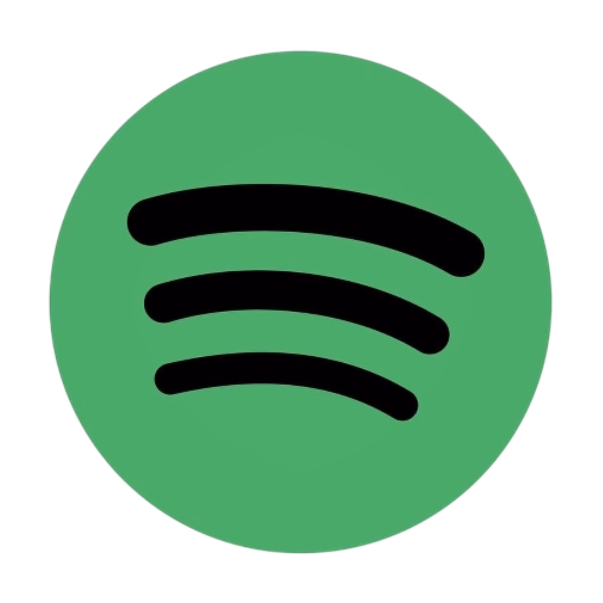Spotify - 12 Months