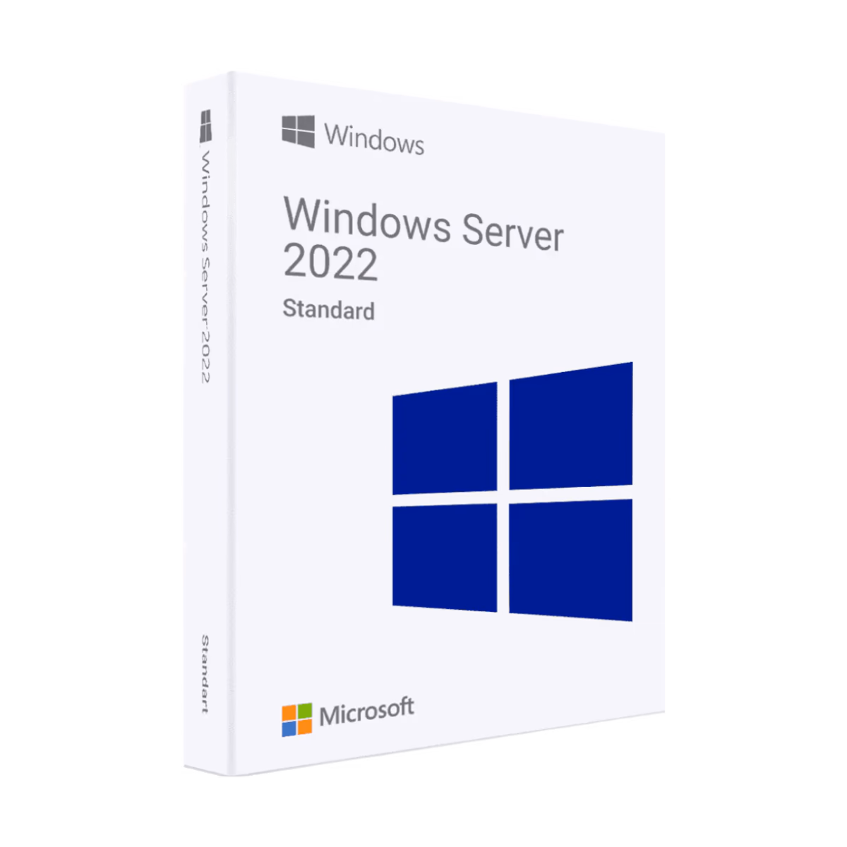 Windows Server 2022 Enterprise - Lifetime License