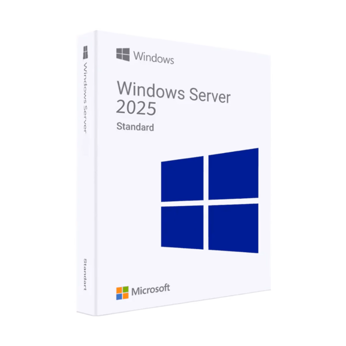 Windows Server 2025 Enterprise - Lifetime License